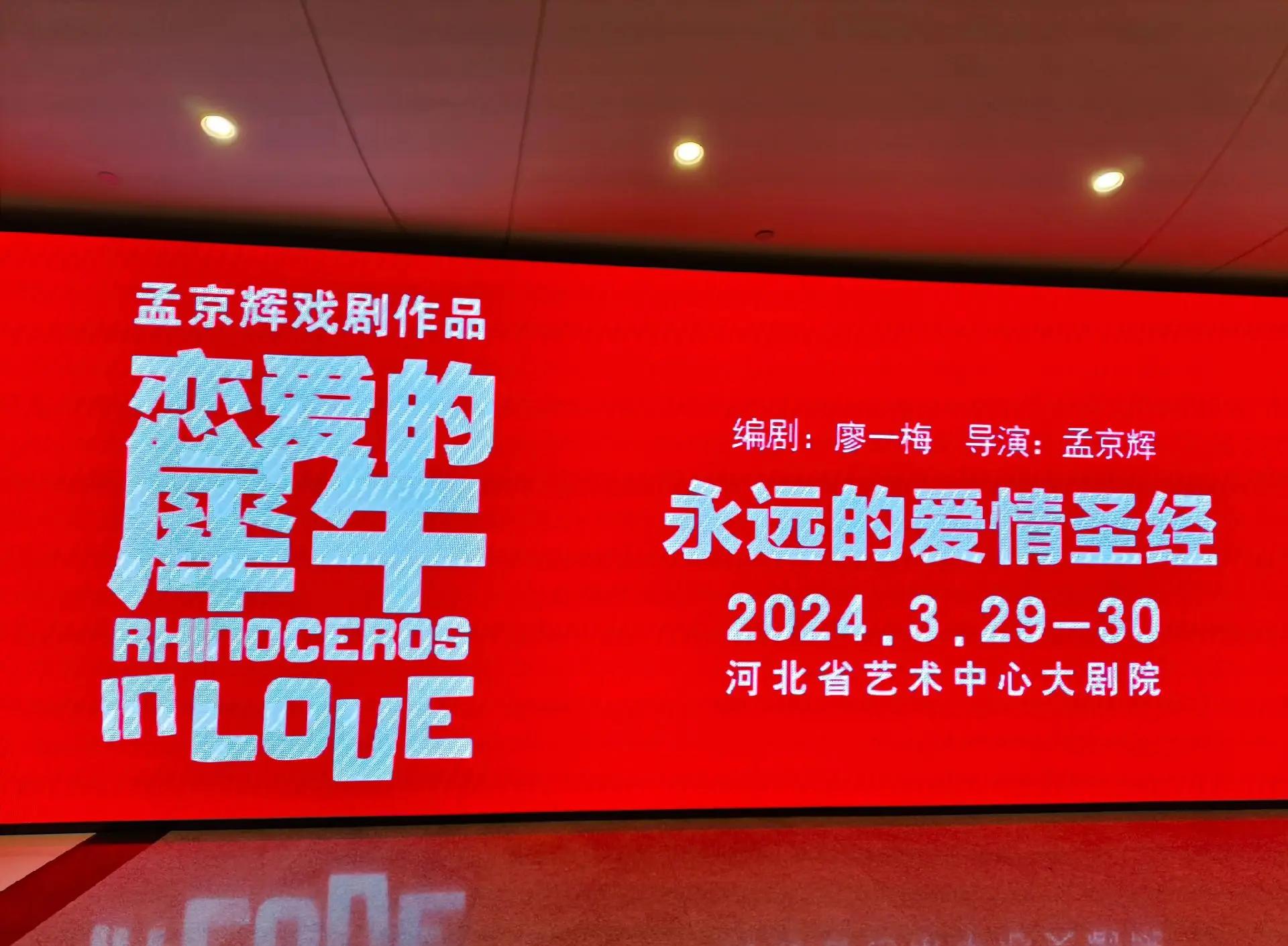 歌曲恋爱中的犀牛歌词,恋爱中的犀牛故事版歌词