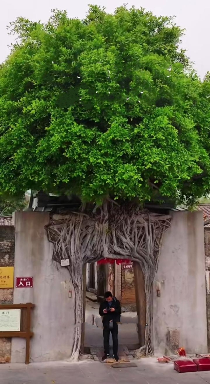 2025年10月6日 第39页