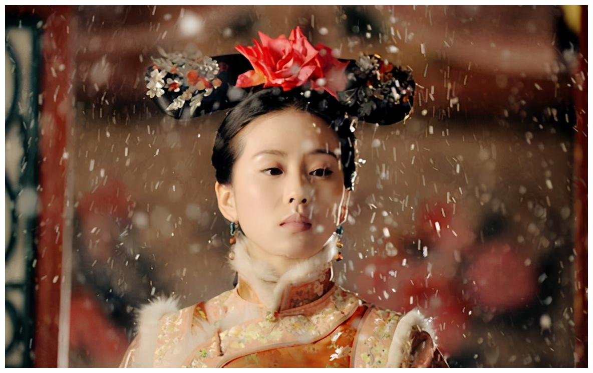 步步惊心,步步惊心电视剧