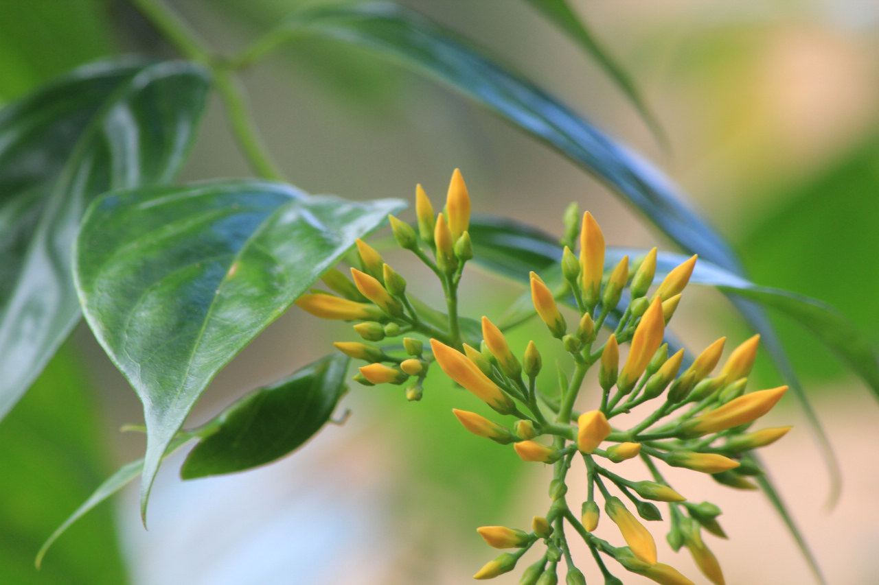 2025年10月6日 第33页