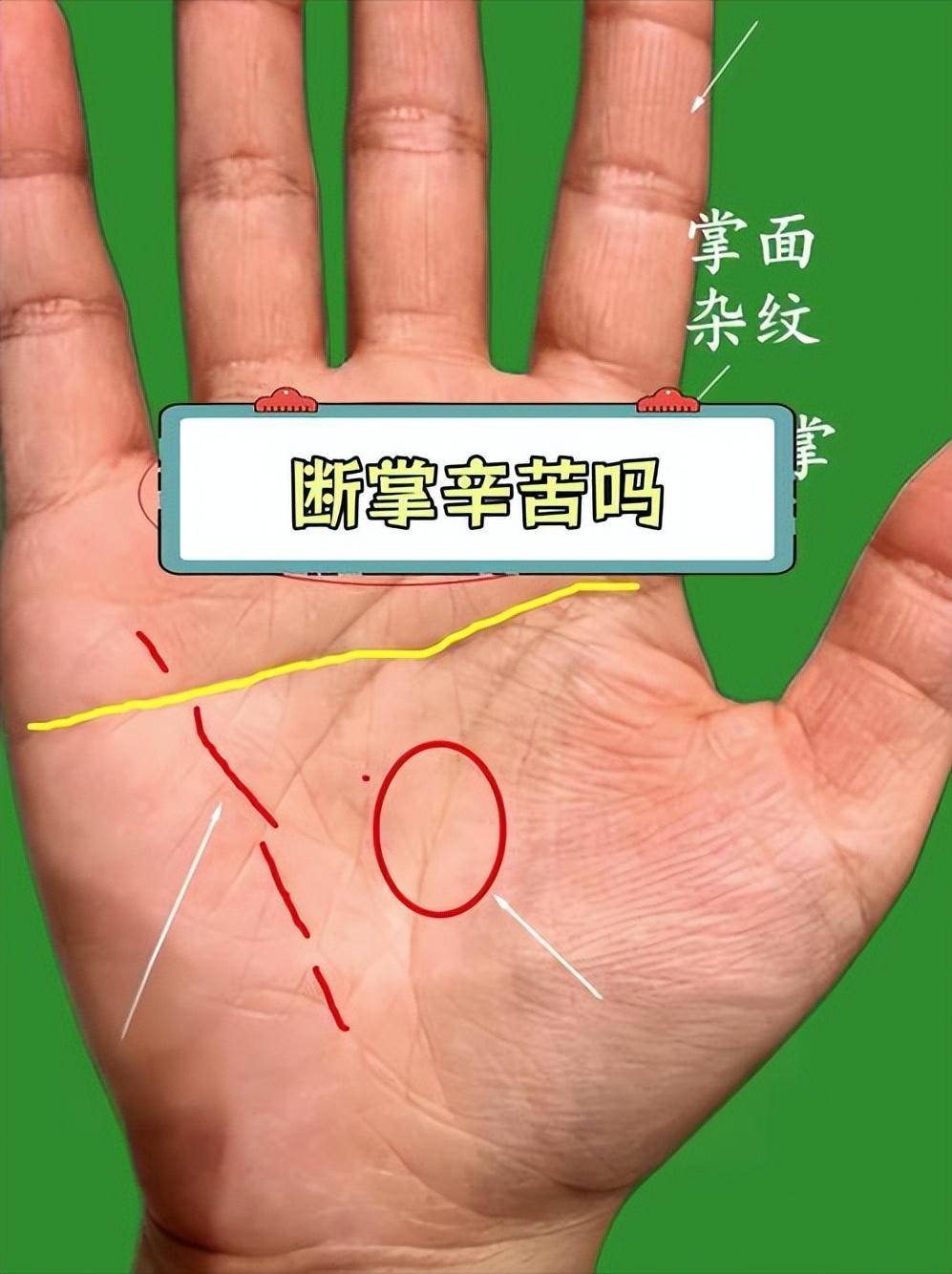 2025年10月6日 第21页