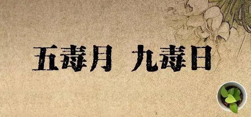 九毒日是什么意思,传说中的九毒日是什么意思