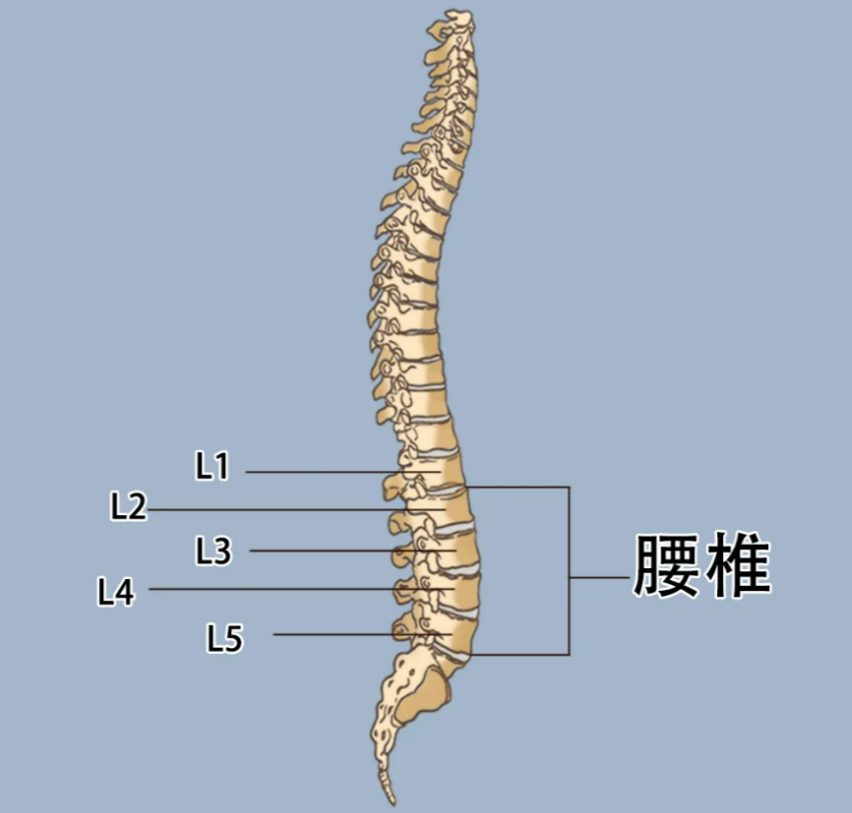 2025年10月7日 第51页