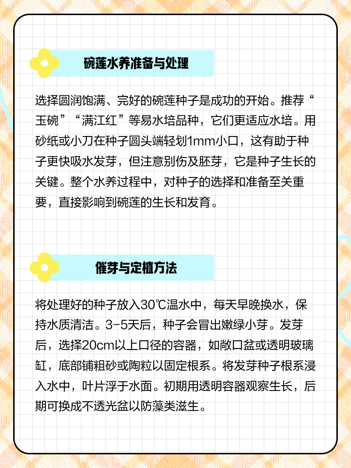 碗莲能不能完全水养,碗莲可以直接用水养吗