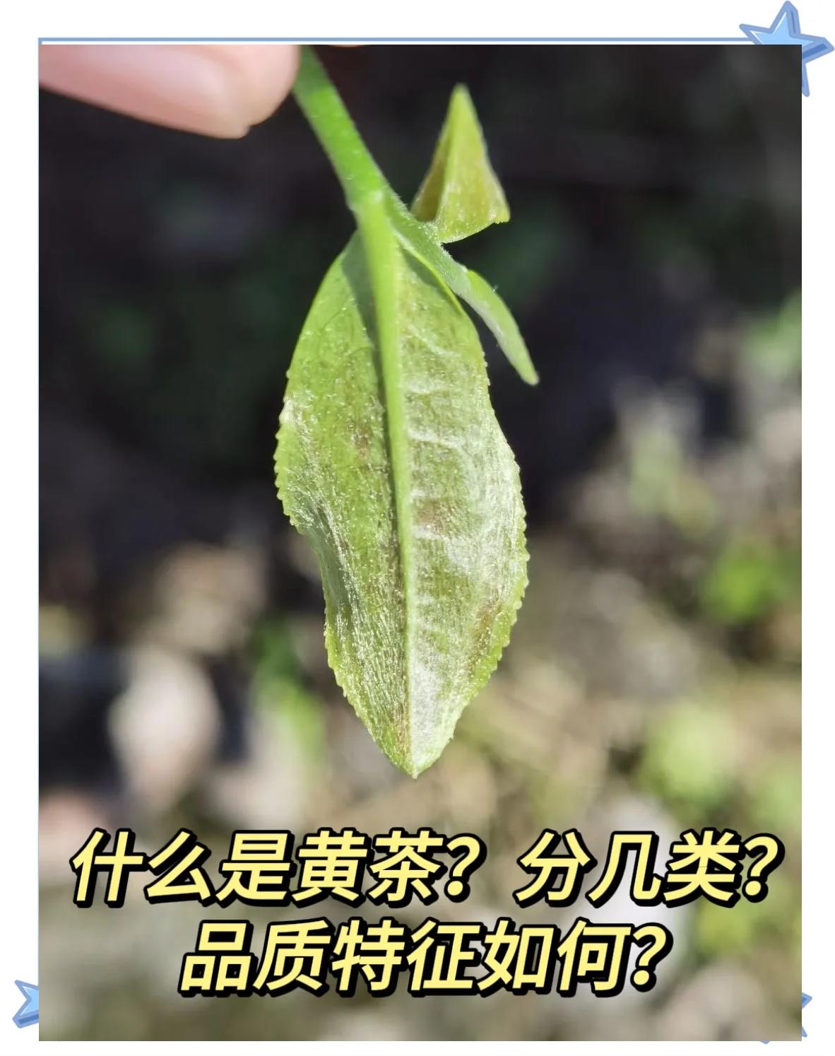 腾讯微云 第29页