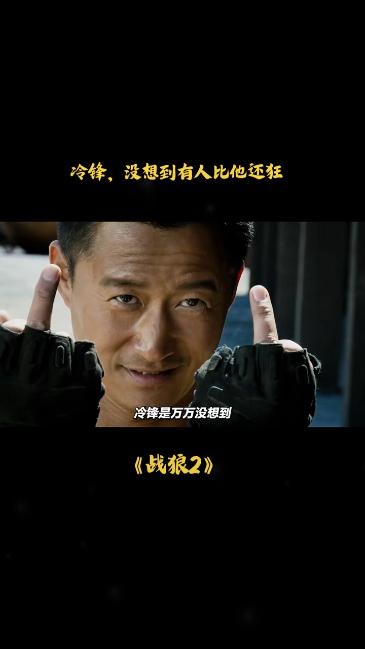 战狼梗概,战狼的梗概