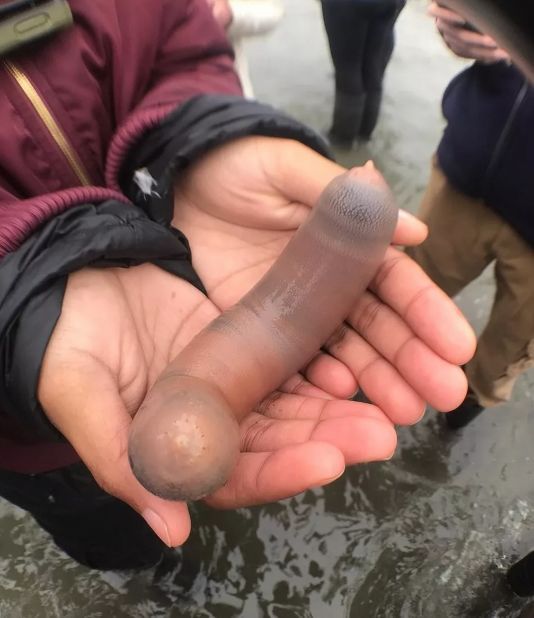 人类不敢公布的秘密,人类不敢公布的秘密视频