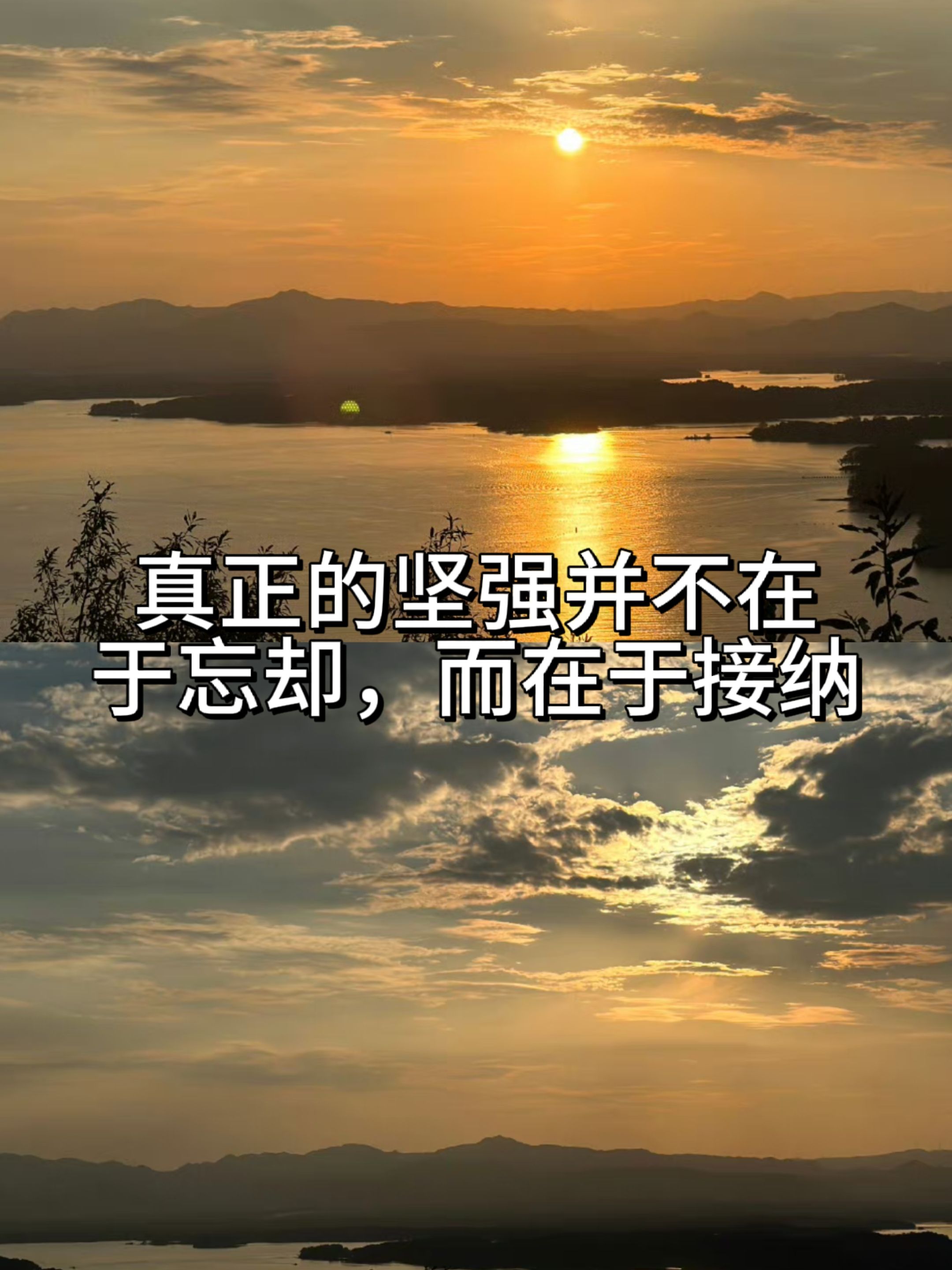 坚强不屈造句简单,坚强不屈造句简单一点