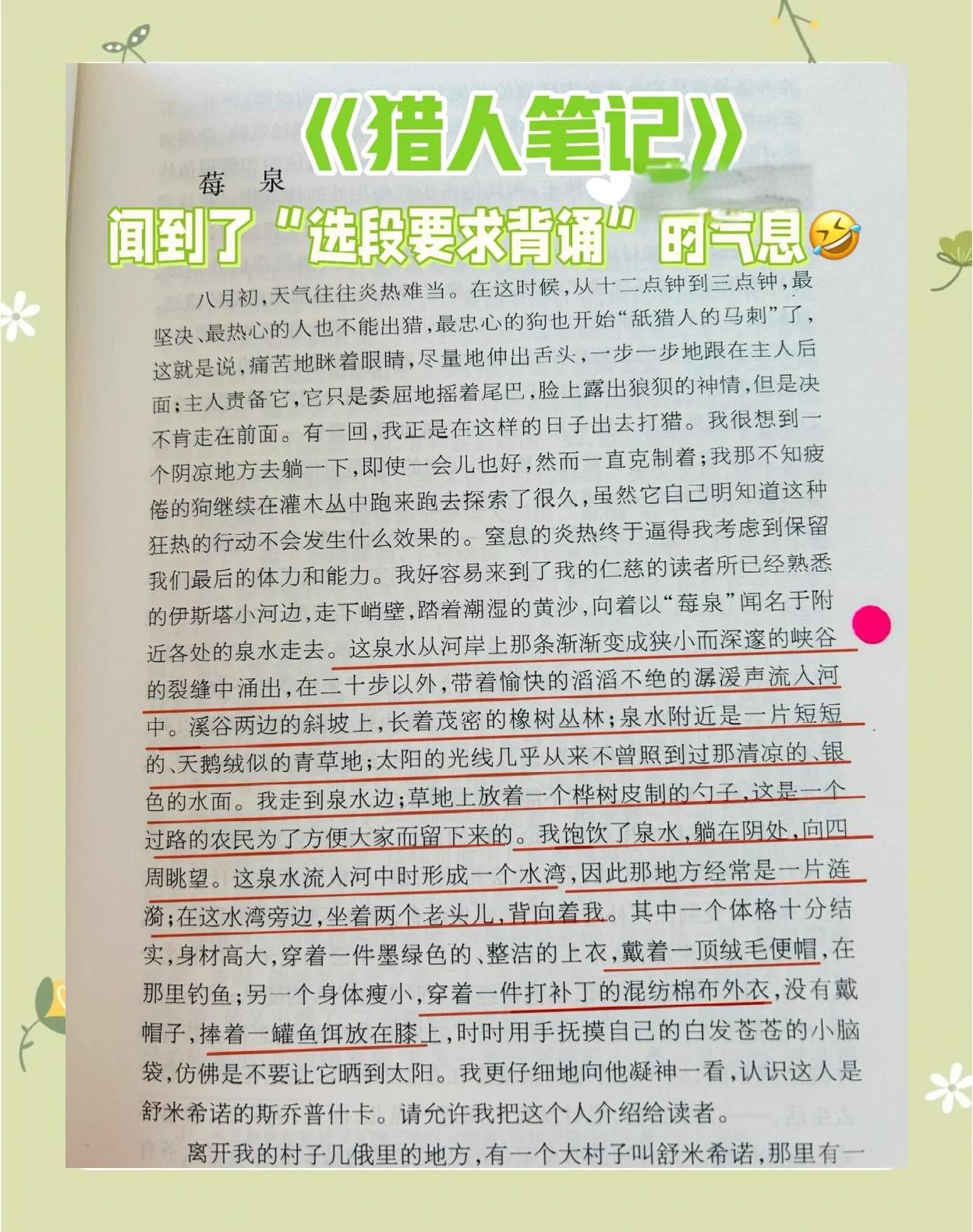 猎人笔记好词好句,猎人笔记好词好句摘抄加批注
