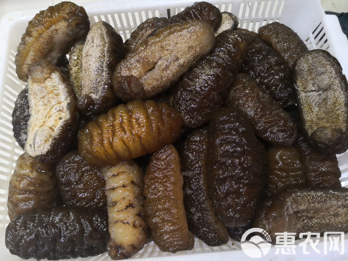 大乌参怎么做简单好吃,大乌参怎么个做法