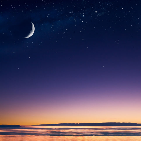 2025年10月10日 第25页