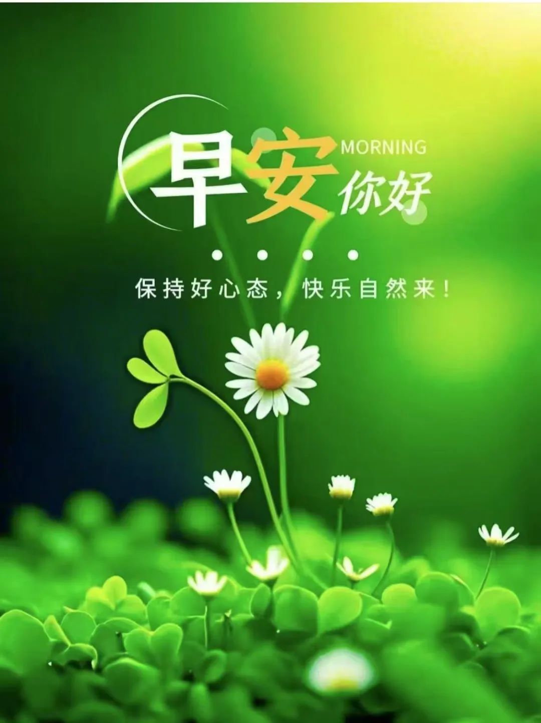 有关好心情说说,关于好心情的说说发朋友圈