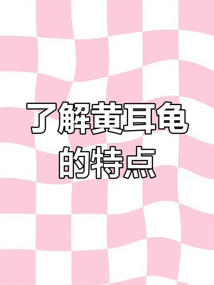 2025年10月10日 第14页