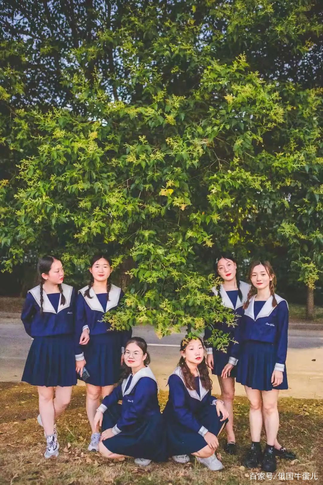 六个人的合影怎么拍好看,六个人的合影怎么拍好看又简单