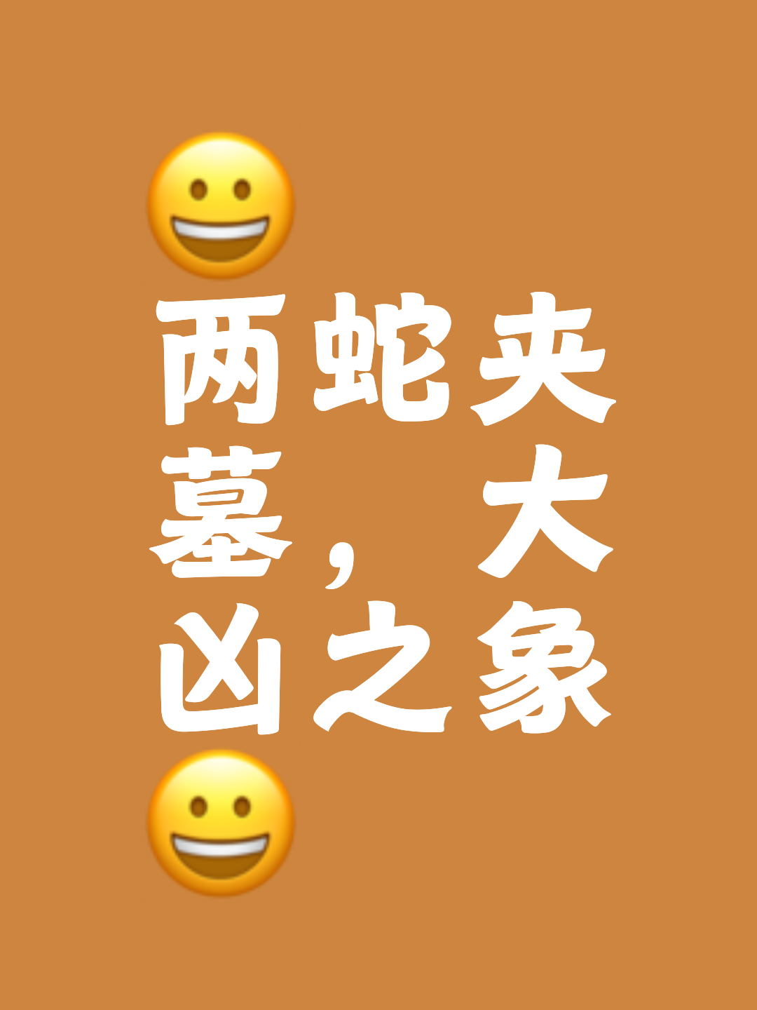 虎头蛇尾什么意思,虎头蛇尾什么意思啊