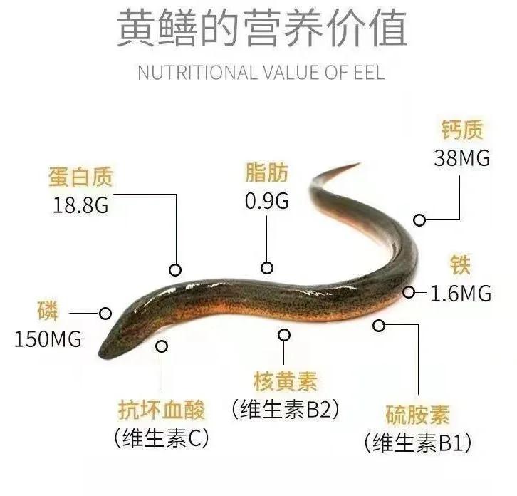 2025年10月11日 第45页