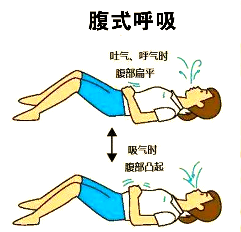 腹式呼吸法的方法,腹式呼吸法方法,哪一部是关注呼吸过程而不用手辅助的