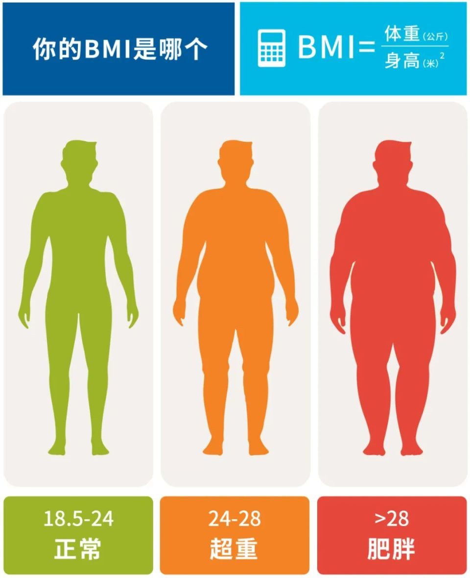 2025年10月12日 第33页