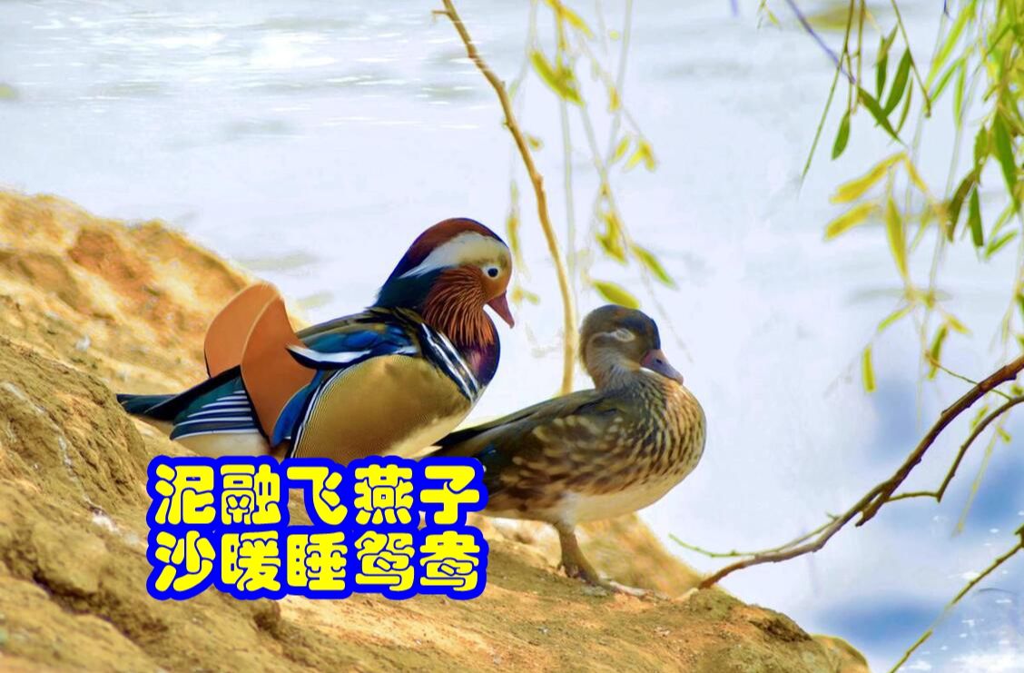 2025年10月12日 第28页