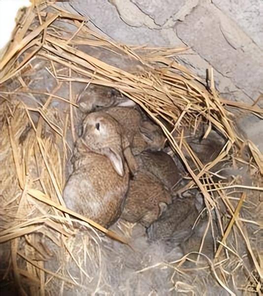 2025年10月12日 第18页