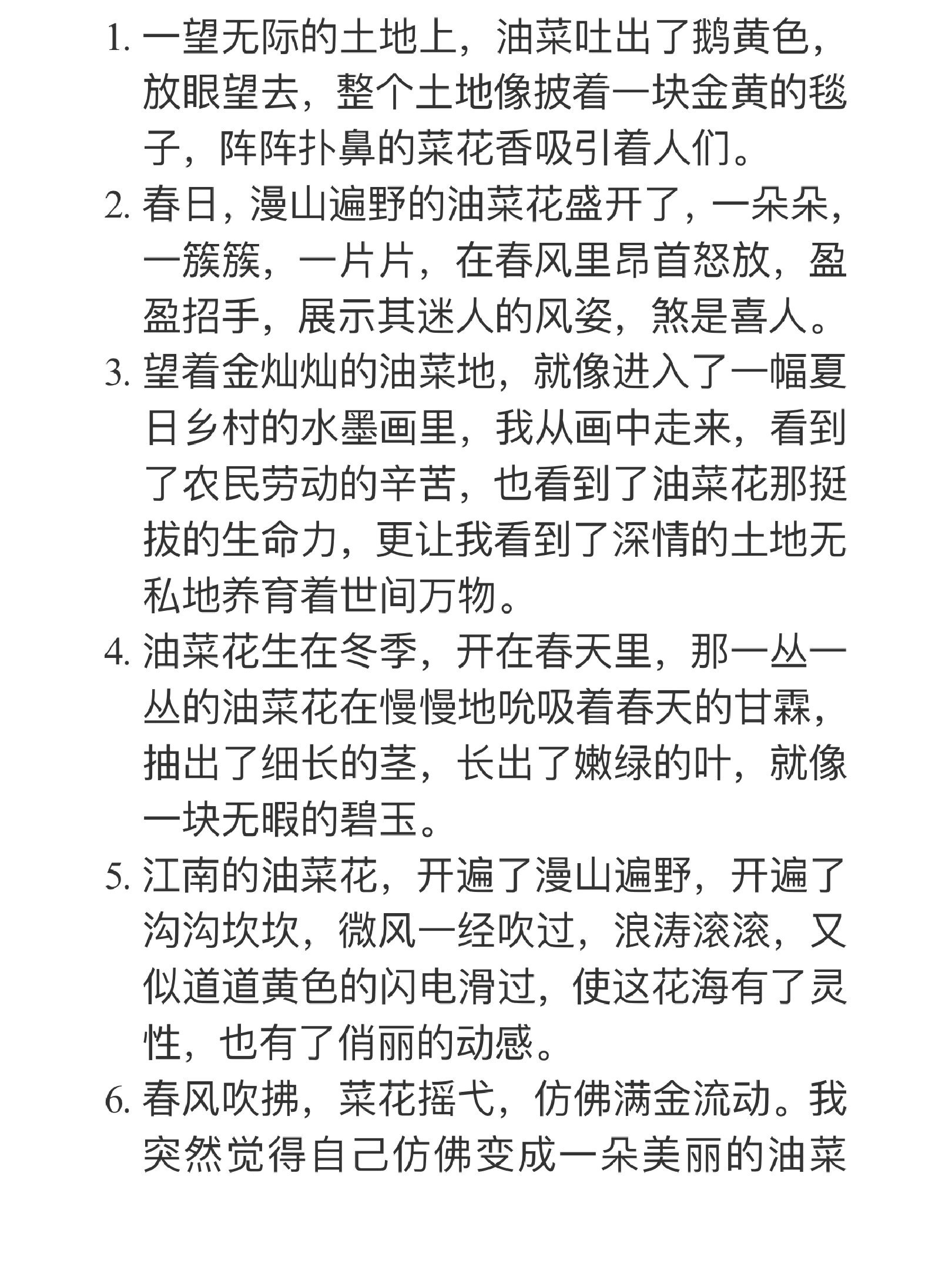 关于油菜花的诗句,关于油菜花的诗句有哪些三年级