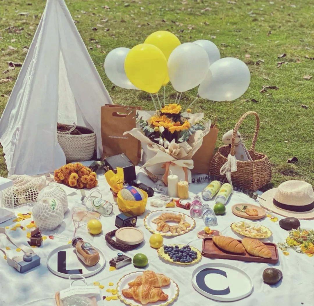 去野餐的英文是什么,去野餐的英文是什么用过去式