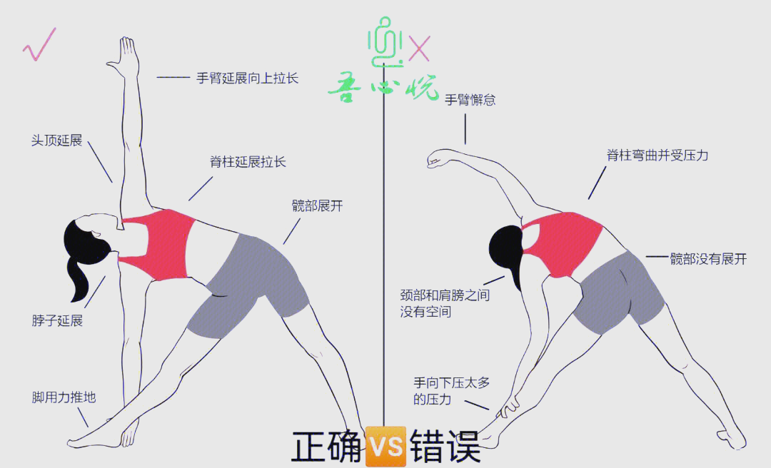 三角肌的锻炼方法,三角肌的锻炼方法视频