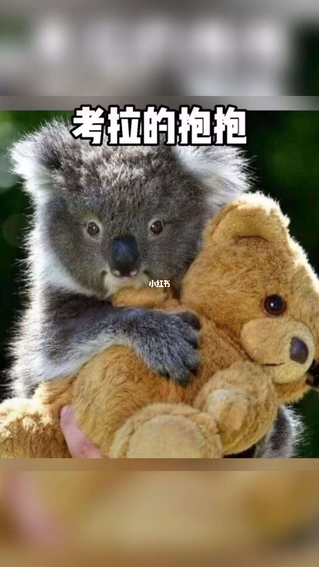 2025年10月14日 第57页