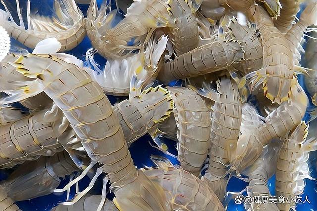 几月份的皮皮虾最肥,皮皮虾几月份最肥最便宜