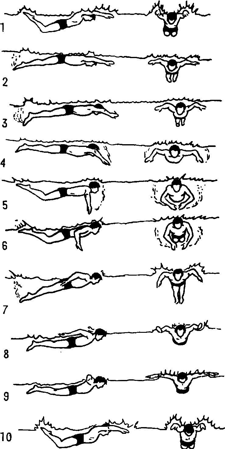 游泳姿势有几种,游泳姿势有几种狗刨