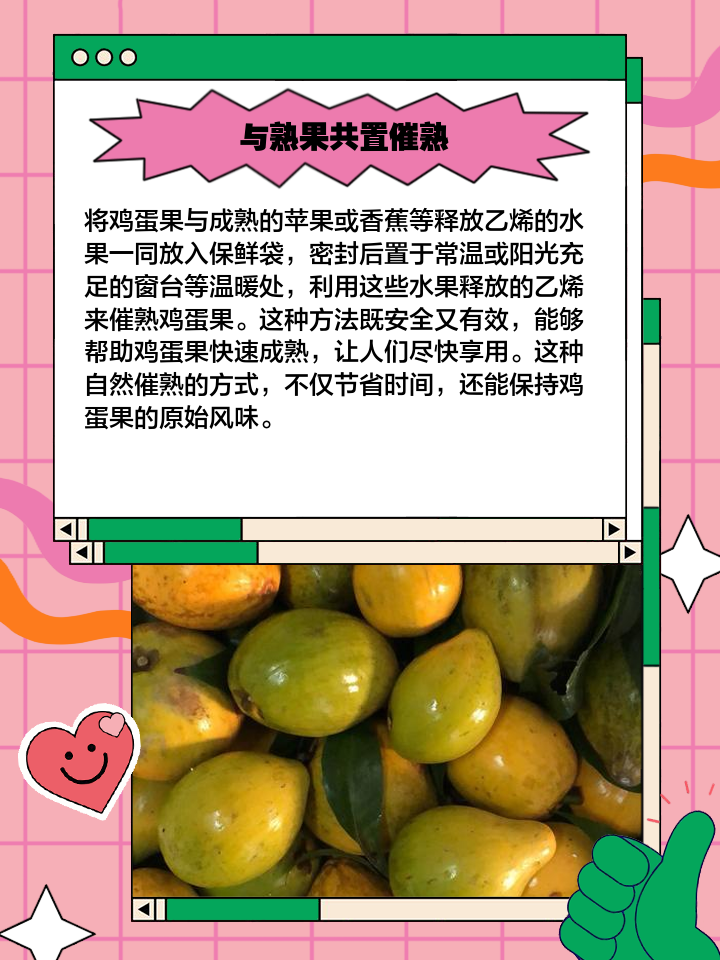 2025年10月15日 第44页