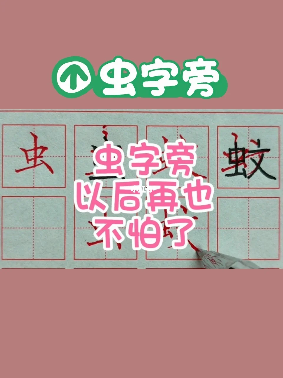 虫字旁的字与什么有关,虫字旁的字与什么有关系一年级