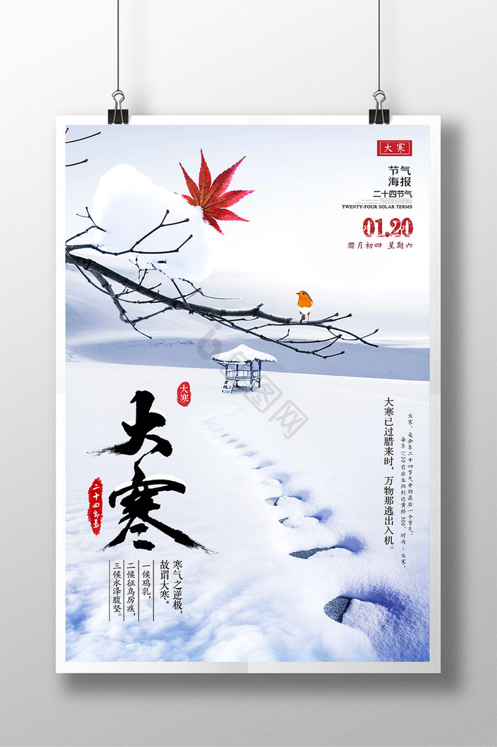 大寒节气是几九,大寒是几九第几天
