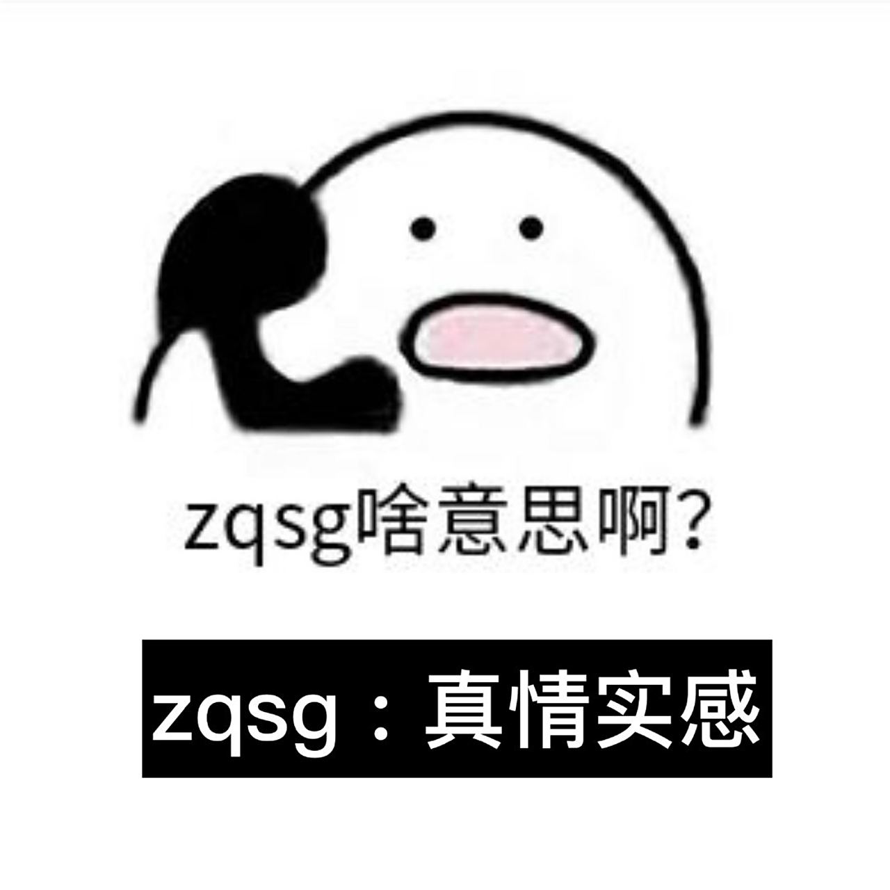 zqsg是什么意思,zqsg是什么意思饭圈