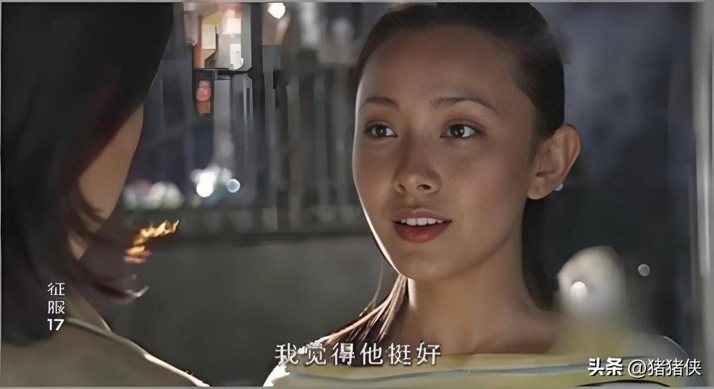 征服中李梅的原型是谁,征服中李梅的原型是谁啊