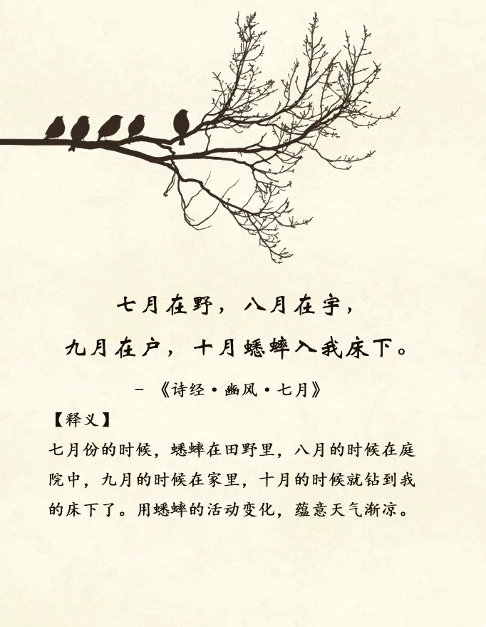 含有数字的诗句,含有数字的诗句从一到万