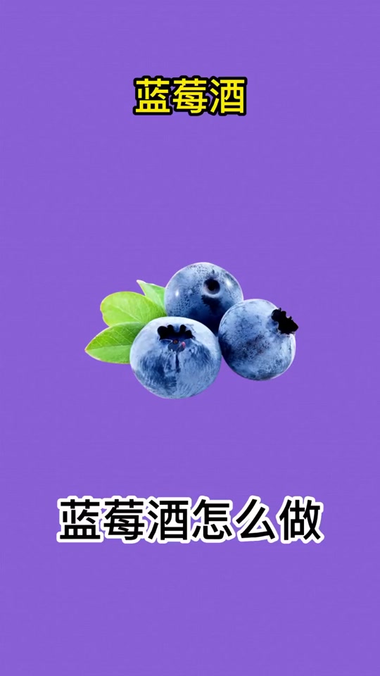 蓝莓酒怎么做,蓝莓酒怎么做教程