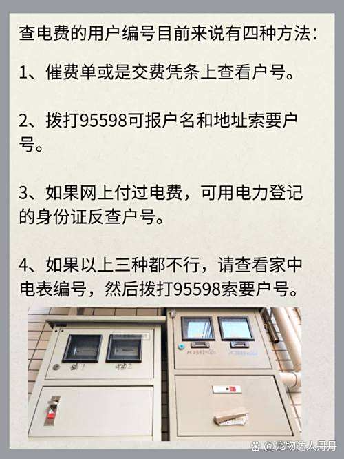 怎么查个人电费明细,怎么查询自己的电费缴费记录