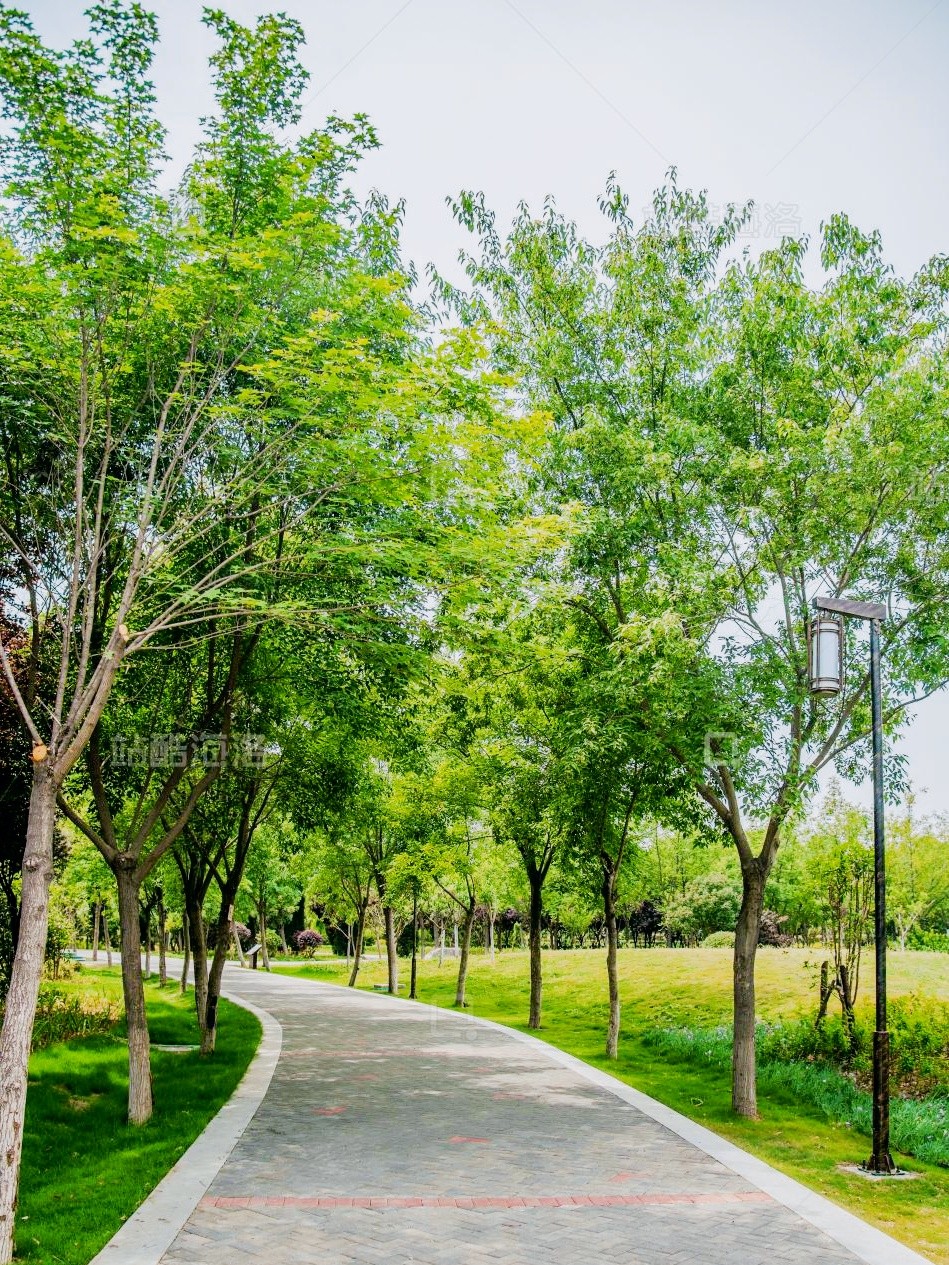 绿荫荫与绿茵茵的区别,绿荫荫和绿茸茸是否能替换