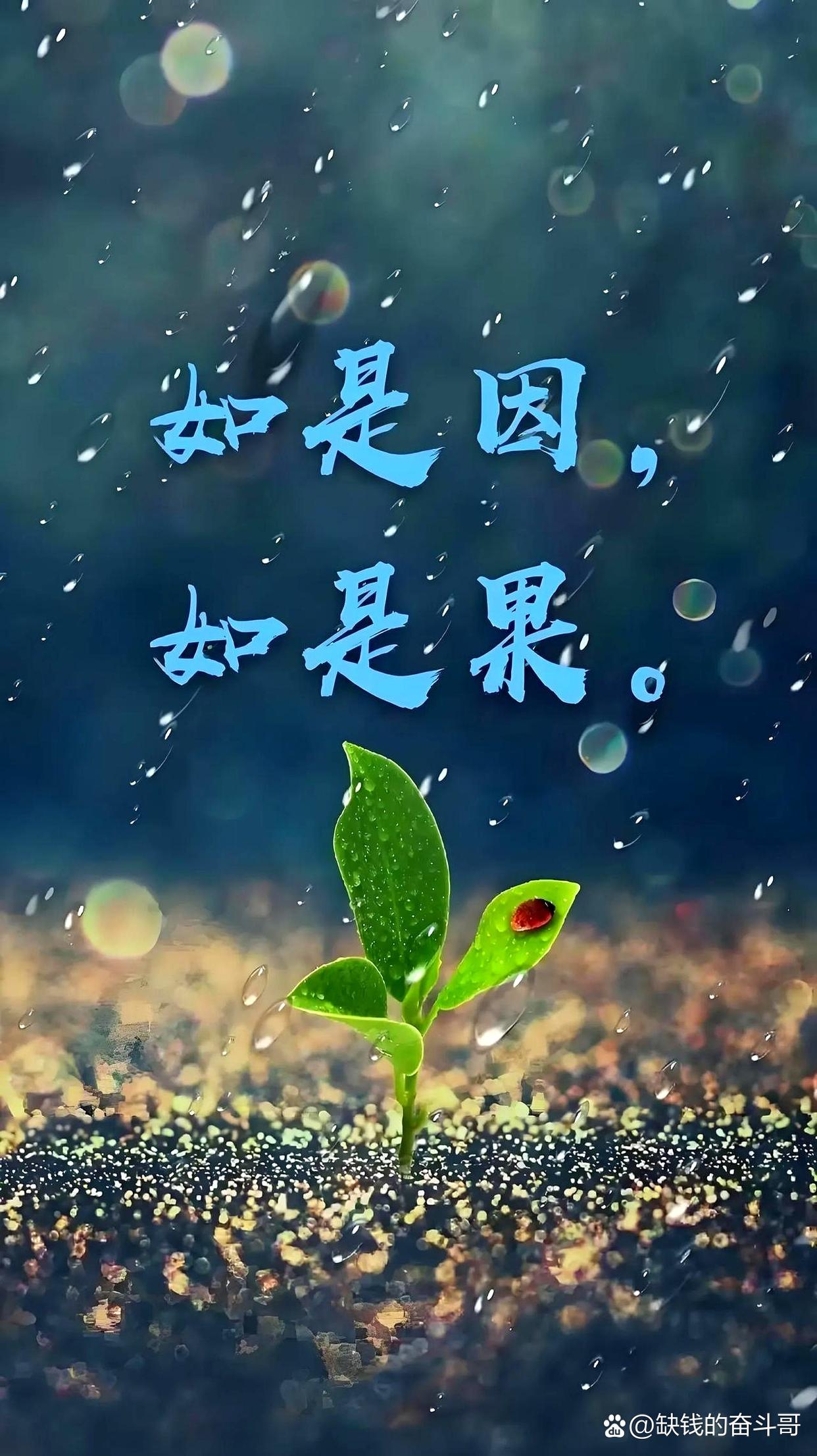 道德的本质是什么,道德的本质是什么决定的