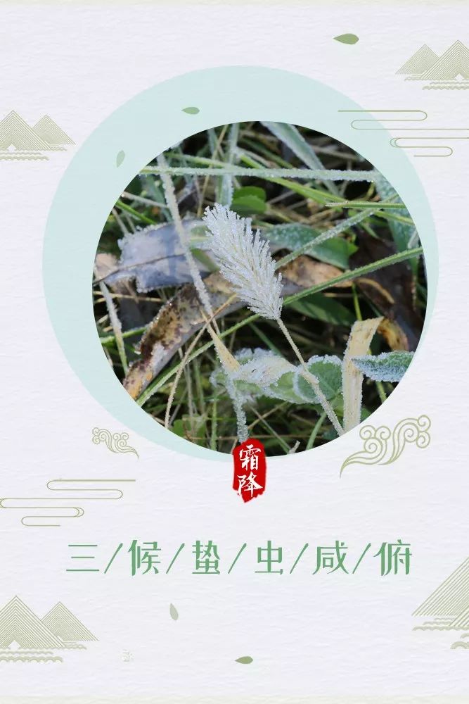 一个冬两个虫怎么念,一个冬加两个虫是什么字