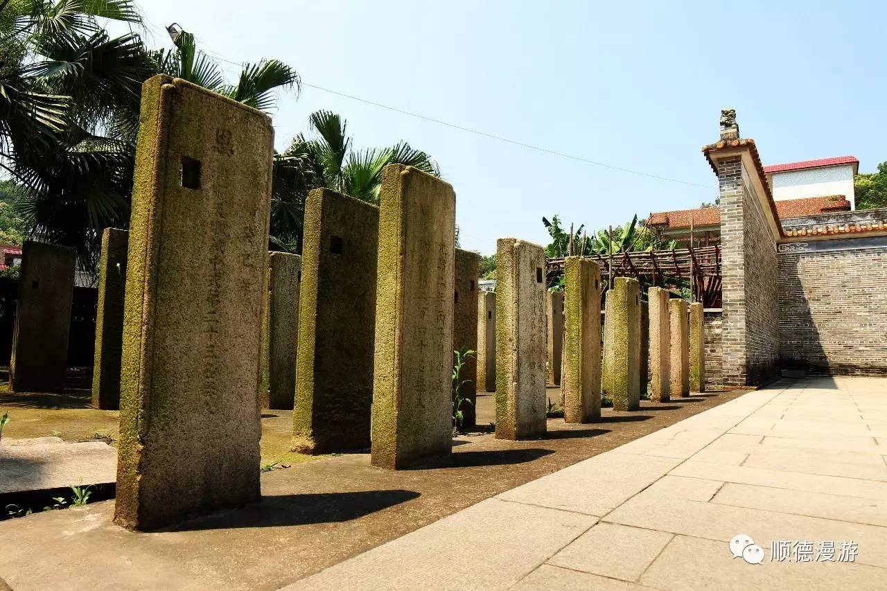 杏坛是什么的代称,杏坛这个词语是什么代称