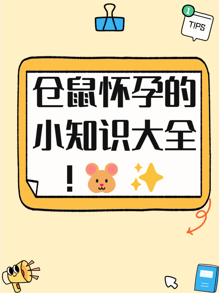 如何让仓鼠怀孕,怎么样让仓鼠快速怀孕