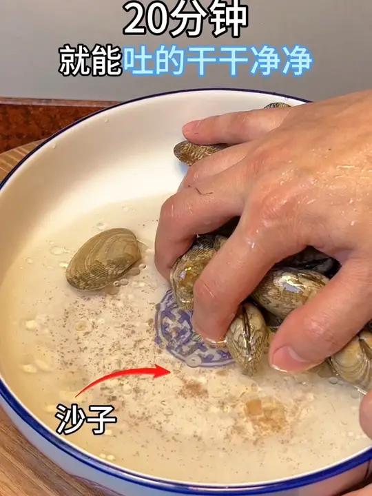 花甲的清洗方法介绍,花甲的清洗方法介绍视频