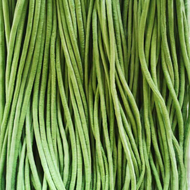 豆角是什么,豆角是什么类型蔬菜