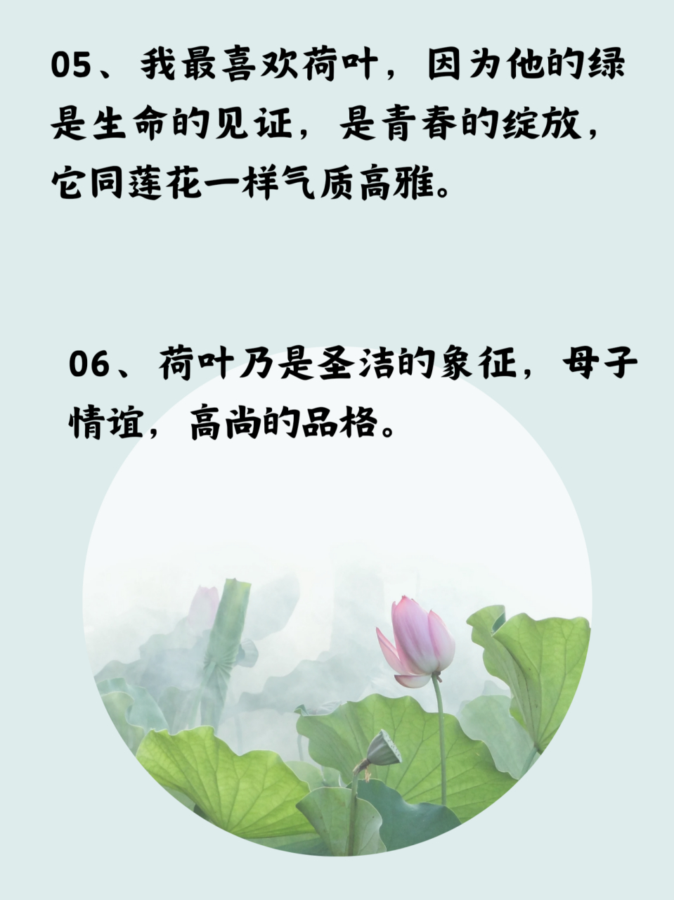 荷叶是什么的什么的造句一年级,荷叶是什么什么的什么什么怎么造句还有是小动物