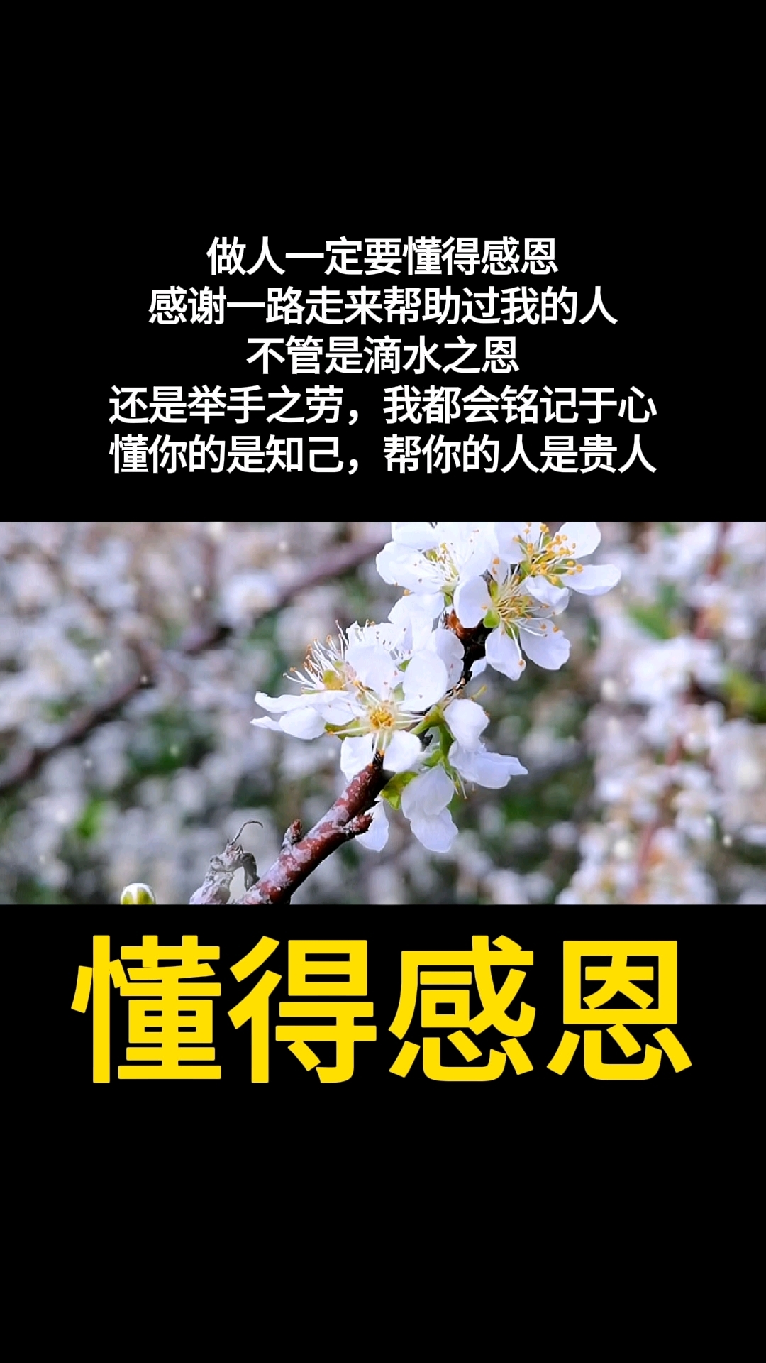 人要懂得感恩的经典句子,人要懂得感恩的经典句子图片