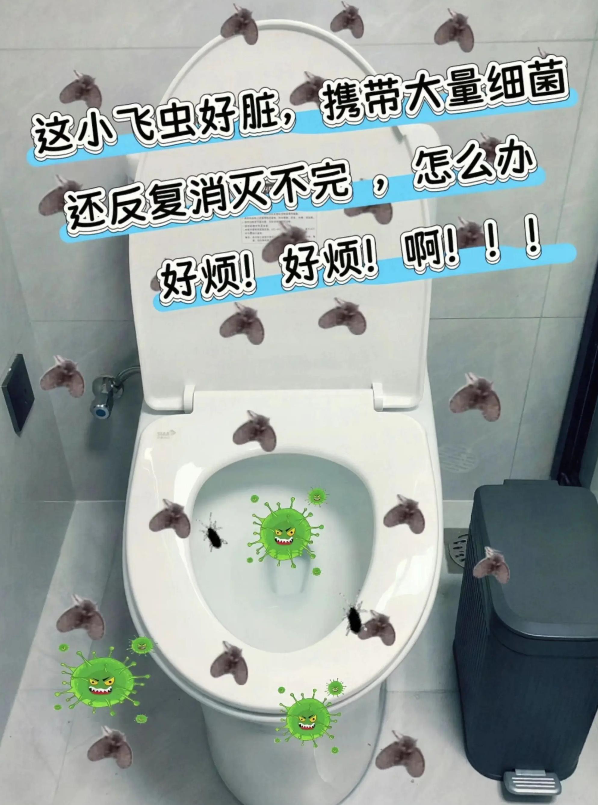 如何消灭卫生间蛾蠓,如何灭卫生间的小飞蛾