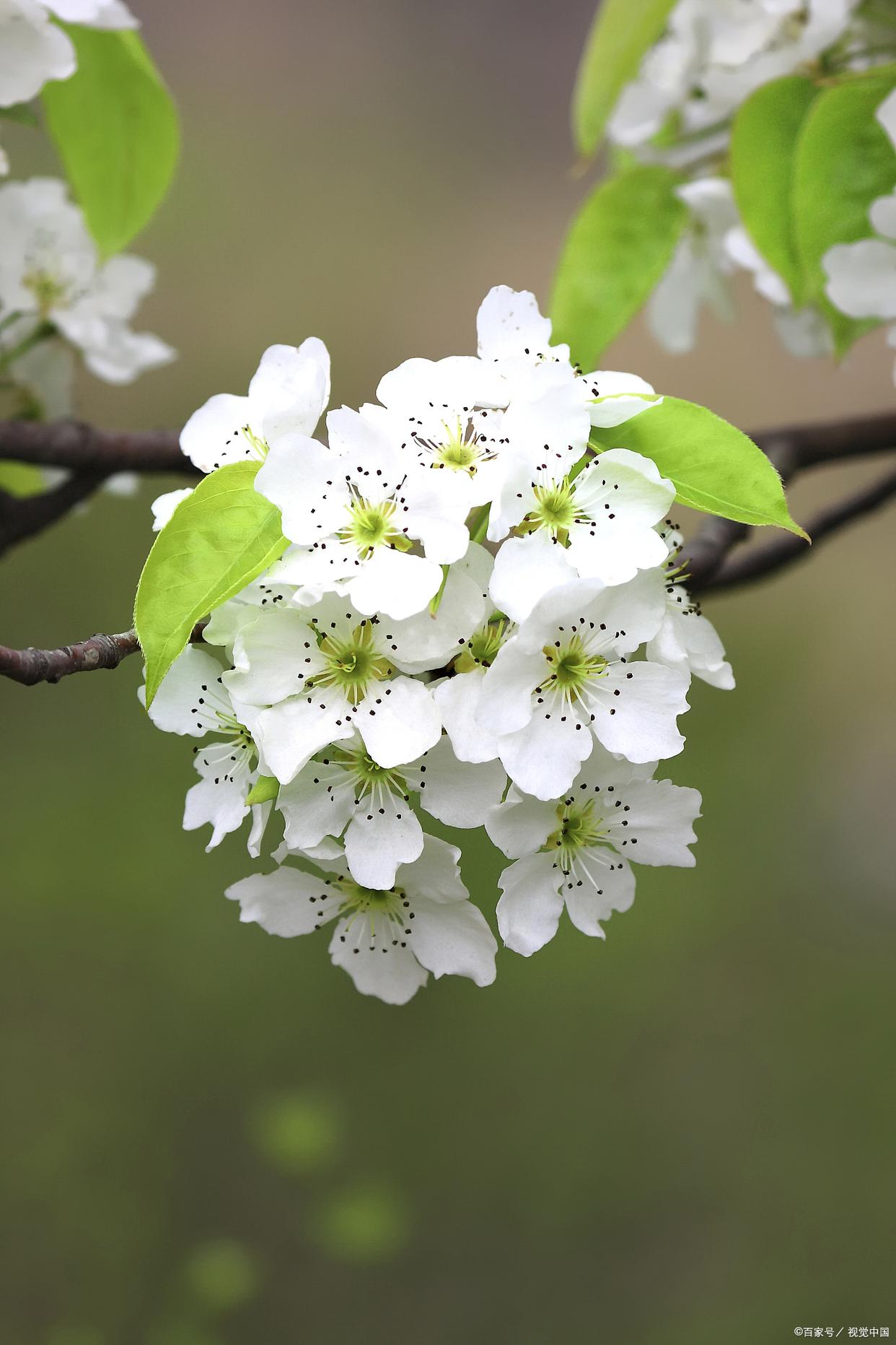 2025年10月28日 第6页