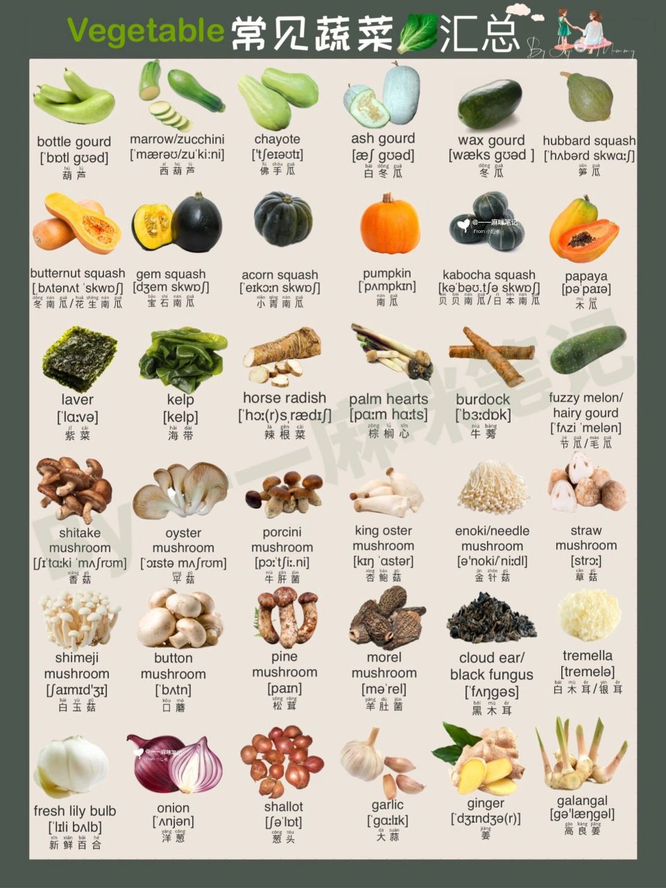 蔬菜大全蔬菜名称大全有哪些